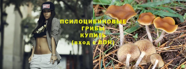apvp Инта