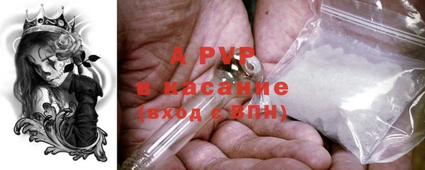 apvp Инта