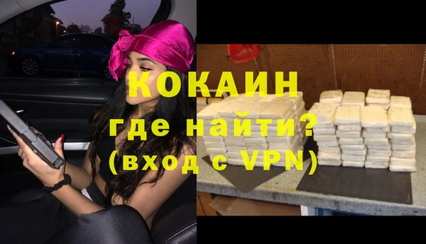 apvp Инта