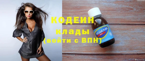 apvp Инта